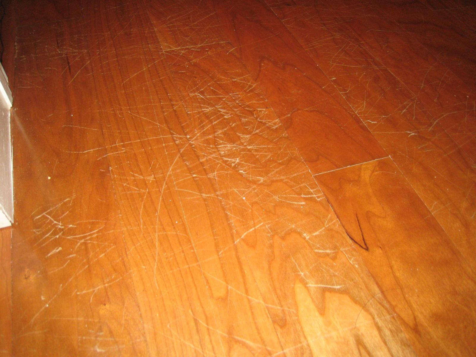 Repairs Perfect Hardwood Flooring, How To Fix Pet Scratches In Hardwood Floors